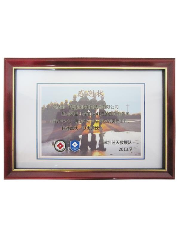 藍(lán)天救援隊捐贈證書